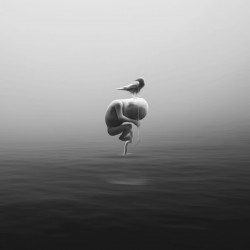 Double Impossibilitye